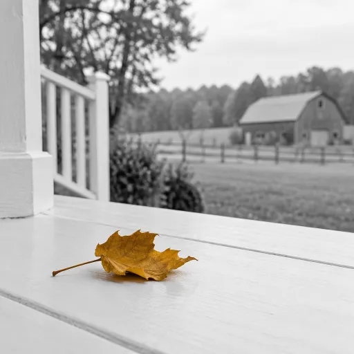 Fall Foliage from the Farmhouse Porch: Where Autumn Colour Is the Property's Main Event